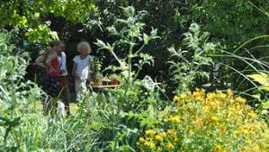 Literarisches kabarett kleinkunst mit peter p. Tag Der Offenen Garten Waldeck Frankenberg