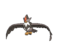 Staraptor | Wiki | Pokémon Amino