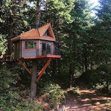 Diy treehouse using cardboard how to make treehouse from cardboard kartondan ağaç ev nasıl yapılır track: Agac Ev Nasil Yapilir Emlak Yasam Hurriyet Emlak