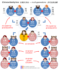 Chinese Family Tree Kinship Relationship System Illustrated