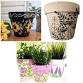 Tipsy Colors: Terracotta Pot Paint Night