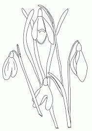 Color in the lap of luxury when you print this adult coloring page. Botany Coloring Pages Coloring Home