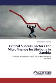 About us the public service micro finance company was established on 13th march 2013 to give loans and other financial services/product to the public service workers at very affordable rates compared to. Critical Success Factors For Microfinance Institutions In Zambia Evidence From Finance And Social Performance Analysis Nyikosa Mayiji Joseph 9786202005371 Amazon Com Books