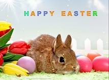 , d happy easter wallpapers screensaver hd free for iphone 1440×900. New Free Screensavers For Windows And Mac Easter Screensavers