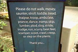 Is that why the allen dulles's cia believed in the power of ideas. Under Attack Or What I Didn T Know About Poison Ivy Sumac Oak Et Al Spencesgirl