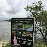 Living Shoreline Training