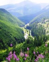 Biserica ortodoxă din valea stejarului, cu hramul cuvioasa paraschiva, a fost ridicată în zilele prea fericitului metodie, patriarhul ţarigradului, în jurul anului 1630, sub păstorirea preotului paroh andrei botiş, originar. 5 Atractii Turistice De Vizitat In Maramures Divahair Ro