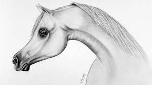 تعلم رسم الحصان بالقلم الرصاص drawing a horse pencil animal tattoo drawings horses