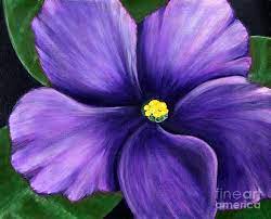 Purple African Violet By Barbara Griffin Violets Painting Violet Artwork Flower Painting
