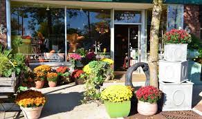 The clarendon hills park district and pizzo & associates have been working together to evaluate the existing wetland area located on the west end of hosek park. The English Garden Flower Shop