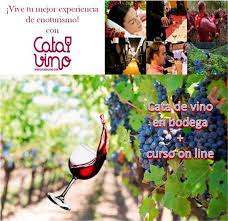 Hemos sido pioneros a la hora de apostar por variedades francesas como la merlot, cabernet franc, syrah o la. Cata De Vino En Vina Santa Marina Para 2 Catadelvino Com