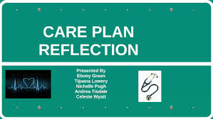 Samples help to inspire and understand the structure, format, and logic of writing. Care Plan Reflection By Andrea Tisdale