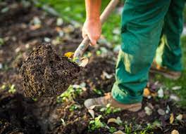 Cover crops, or green manures, are a great way to protect your garden from weeds and soil erosion over the winter period. 10 Fall Gardening Practices That Protect Your Soil Bob Vila