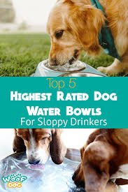 Dogbuddy dog food mat, small (19x12), large (24x16), xxl (32x24), nonslip pet food mat, silicone dog bowl mat, washable dog mat for food and water, waterproof dog food mats for floors. 5 Best Dog Water Bowls For Sloppy Drinkers And Why You Need One
