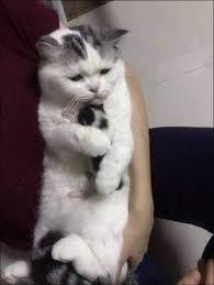 6 al hotelului termal» sesizare (ref la p.01). Cand O PozÄƒ ValoreazÄƒ Cat O Mie De Cuvinte 9 Imagini Care IÈ›i Fac Ziua Mai FrumoasÄƒ