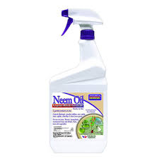 This spray uses simple ingredients you already have in your it contains pyrethrins and can be used on edible crops and ornamental garden plants. 14 Safe And Effective Natural Plant Insecticides That Really Work