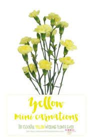 Check spelling or type a new query. Names And Types Of Yellow Wedding Flowers With Pics Flower Tips