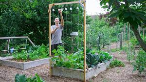 Making a cucumber trellis