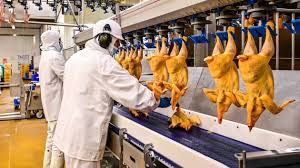 News source: Ouest-France