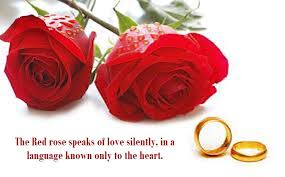 Jun 20, 2020 · dear guys, if you are going to try to message me, text me, try to flirt with me, call me pretty, or ask me for pictures, i will just tell you to get out, because i have an amazing boyfriend who i am in love with! 25 Beautiful Red Roses Images With Love Quotes Entertainmentmesh