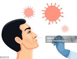 Nasal Swab Laboratory Test Research Of Patients Stock Illustration
