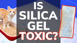 If you've caught your cat eating cat litter, understand that he could be doing this for several reasons. Is Silica Gel Toxic To Cats What If Your Kitty Eats It The Cooler Box