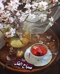 رقيقة وندية تلك الصباحات التي تحمل لنا طيف من نهوى ربي احفظ لنا أحبابنا أي Beautiful Photography Nature Nature Photography Beautiful Photography