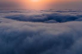 Tapi jangan salah ladies, ternyata semua bagian dari tanaman bunga matahari bisa digunakan, lho. Di Akherat Golongan Manusia Inilah Yang Tidak Dimasukan Ke Surga Maupun Neraka Galamedia News