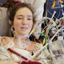 Fundraiser for Sierra Wright by Terra R : Sierra needs a new heart!