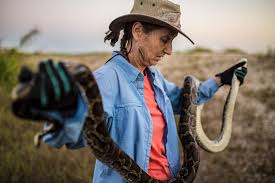 The Invasion of Giant Pythons Threatening Florida | Science | Smithsonian  Magazine