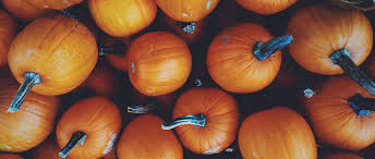 La citrouille nous vient d'amérique du nord et provient de la même famille que le potiron ou le potimarron. Recettes De Citrouilles 8 Plats A Cuisiner Cet Automne Tourisme Mauricie
