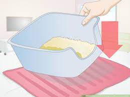 How To Keep A Cat From Kicking The Litter Out Of The Litterbox