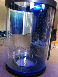 Raising Pet Jellyfish New Diy Jellyfish Tank Jellyfish Tank Diy Jellyfish Pet Jellyfish