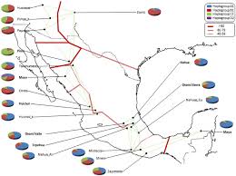 Populations Analyzed Geographical Distribution Of