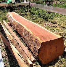 Wanted free firewood have a good dump site fire wood or will pickup (easton monroe newtown line westport you cut, you clean, your trees for free. T H Firewood And Portable Sawmilling Home Facebook
