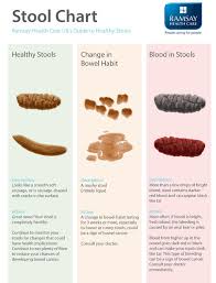 is my poo normal stool reveals all about your health