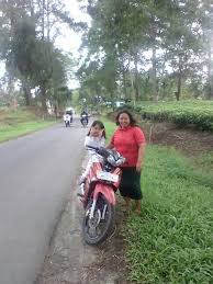 Kebun teh wonosari saat ini lagi ramai di perbincangkan, karena suasananya yang sejuk dan wahana yang memukau para. Jalan Jalan Ke Kebun Teh Angel Haloho Diary Facebook