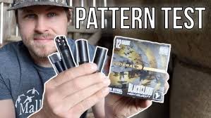 Winchester SX4 Ammo Gauntlet Test