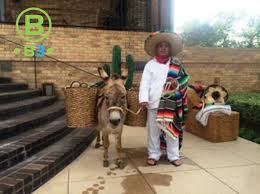 Use rent donkey's concierge service to find your dream home! Donkey Burro Mule Rentals B3 Entertainment Productions Inc
