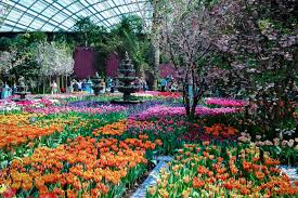 Tulipmania In The Flower Dome C National Parks Board Singapore Gardens By The Bay In 2020 Singapore Garden Gardens By The Bay Singapore