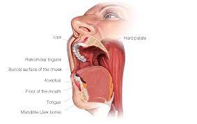 Although many jaw growths are benign, they can still do plenty of harm. Mouth Cancer Introduction Head And Neck Cancer Types Head And Neck Cancer Australia