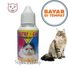Cara pertama untuk mencegah rambut kucing rontok adalah dengan menyikat kucing secara teratur. Nutricat Vitamin Bulu Kucing Obat Penumbuh Bulu Kucing Rontok Nutri Cat Lazada Indonesia