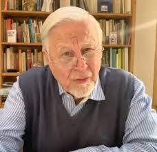 Miercoles 09 de julio 2025 by diario heraldo de linares