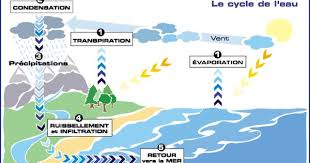 Cycle Naturel Gif Cycle De L Eau Cycle Eau