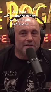 Wesley Asks Joe Rogan