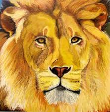 Close Up With Animal And Oil Pastels Middle School Artsonia Lesson Plan Oil Pastel Art Pastel Art Animal Art Projects