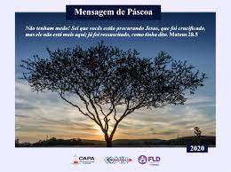 A sua lista de contatos está acostumada a receber mensagens suas? Mensagem De Pascoa 2020 Fundacao Luterana De Diaconia