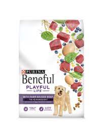 Dry Dog Food Purina