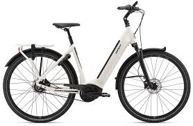 Dailytour E 1 Bd Lds 2020 Herren E Bike Fahrrad Giant Bicycles Osterreich