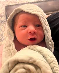 Temperature chart for a June baby in Michigan?